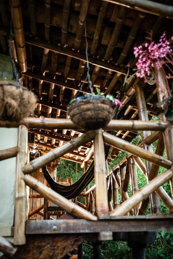 Finca Ecológica El Maco San Agustín Exterior foto