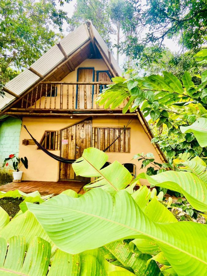 Finca Ecológica El Maco San Agustín Exterior foto