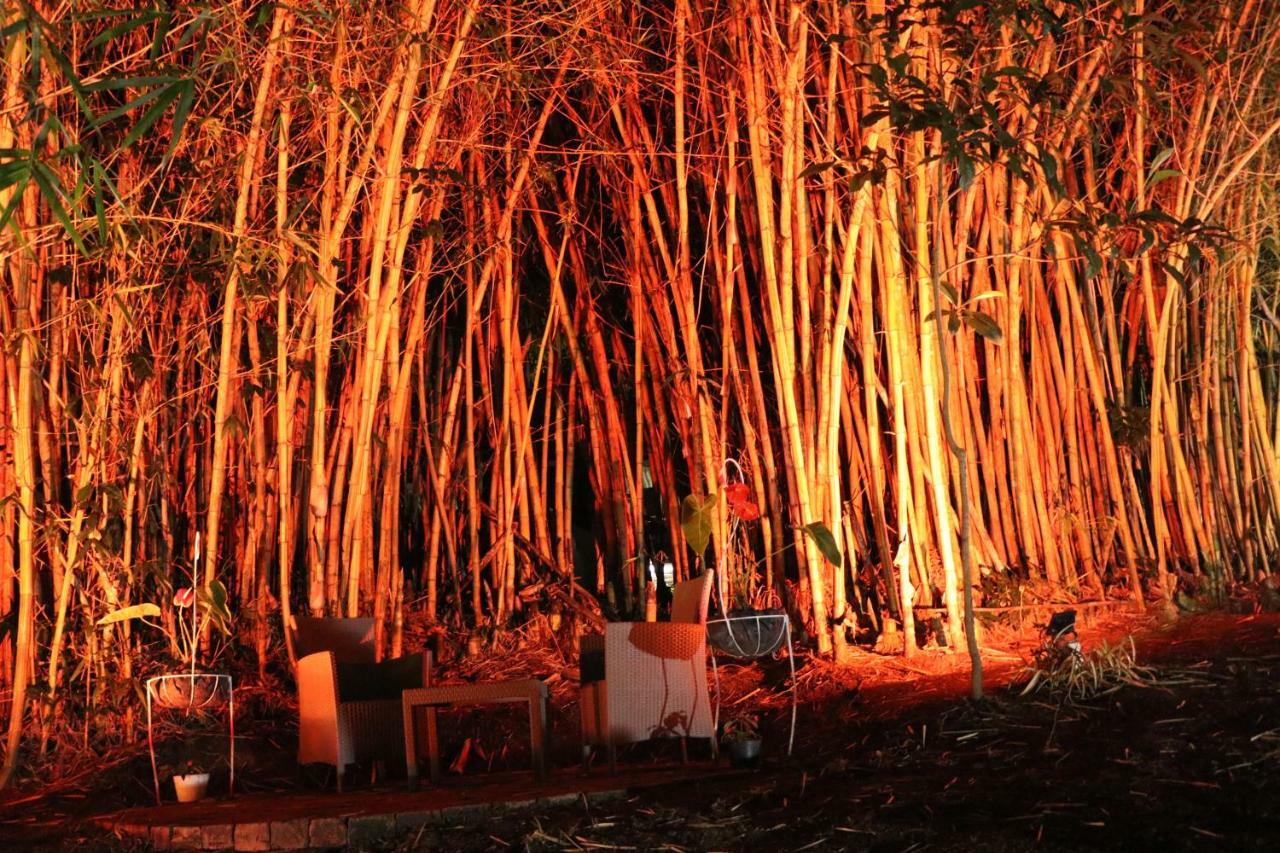 Finca Ecológica El Maco San Agustín Exterior foto